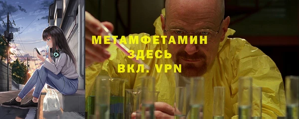 соль ск Дмитриев
