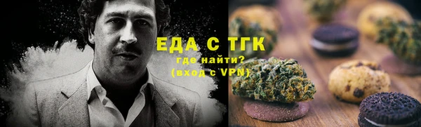 соль ск Дмитриев