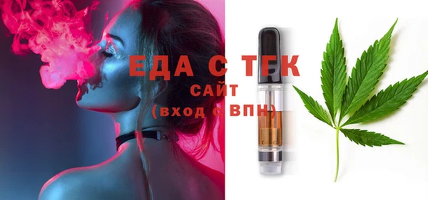 соль ск Дмитриев
