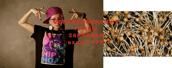 соль ск Дмитриев